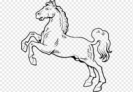 Drawing tutorials for kids and beginners. Mustang Drawing Horse Hoof Vas Horse White Mammal Png Pngwing