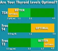 Normal Tsh Levels Chart Thyroid Hypothyroidism