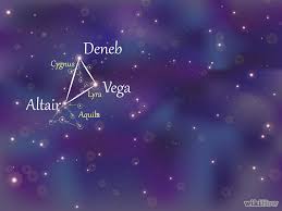 Image result for vega star