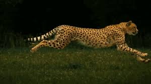 Https Encrypted Tbn0 Gstatic Com Images Q Tbn 3aand9gcq6911hedpc C2eygwdjpwgsr0wrxf Pvitbw Usqp Cau