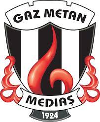 We would like to show you a description here but the site won't allow us. Gaz Metan Medias New Logo Download Logo Icon Png Svg