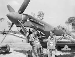 Australian Forces Raaf Spitfire Viii On Morotai Royal Australian Air Force Shark Painting Vintage Aircraft