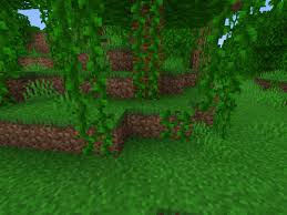 Maybe you would like to learn more about one of these? Build A Well Hidden Minecraft Bunker Or Underground Facility By Vwprogamer1234 Fiverr