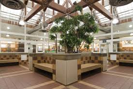 We have some great prizes. Adoption Center Animal League