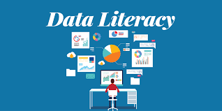 Data Literacy - Reading Numbers Without Being a Data Scientist
