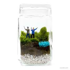 Terrarium Harry Potter Inspired Terrarium Moss Terrarium Inspiration