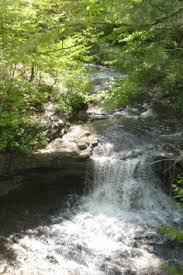 Mccormick's creek state park was dedicated as indiana's first state park on july 4, 1916, as part of the state's centennial celebration. 32 Mccormick S Creek Ideas State Parks Creek Indiana Travel