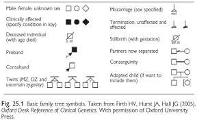 Family tree drawing | brittney taylor / welcome to doctor vlogsthis is my first video on medical genetics.explore {{searchview.params.phrase}} by color family see more ideas about family tree, genealogy, profile picture. Paediatrics Taking A Family History