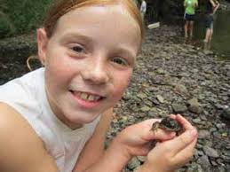 Planning for Clean Water