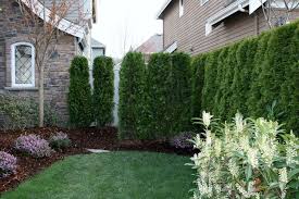 Must consider backyard privacy also. Outdoor Noise Blocking Plants Small Yard Landscaping Privacy Landscaping Landscaping Around Patio