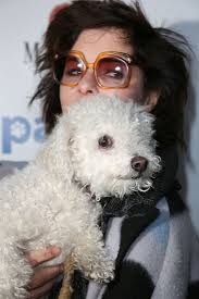 Parker Posey Dog Gracie Posey Editorial Stock Photo