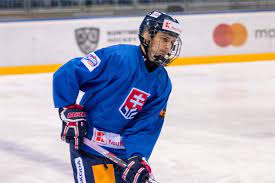 See more ideas about hokejisti, los angeles kings, vancouver canucks. Hokejisti Sr 17 Obsadili Vo Fussene 3 Miesto Hockeyslovakia Sk Oficialny Web Slovenskeho Hokeja