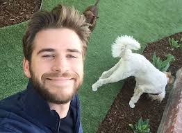Rumors that the honeymoon was over began circulating on saturday, when cyrus posted a photograph on her instagram page in which she was conspicuously not wearing her. Miley Cyrus Und Liam Hemsworth Familie Ist Gegen Ihre Hochzeit Starzip
