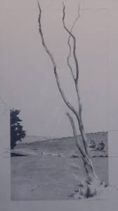 Reid Thorpe Studio and Gallery Archives • Arts Consortium of Carver County