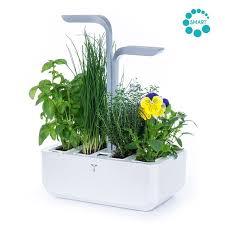 Check spelling or type a new query. Potager Intelligent Veritable Indoor Vegetable Gardening Herbs Hydroponic Gardening System