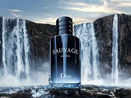 Acerca de Dior Sauvage