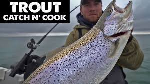 CHEF AARON NEALE - Awesome Fish Recipe!