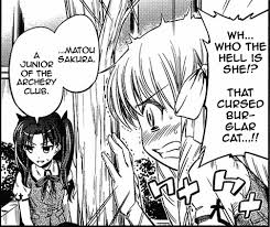 Fate/kaleid liner PRISMA☆ILLYA [manga] - Page 27 - AnimeSuki Forum