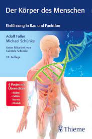 Der Korper Des Menschen 9783132438200 Thieme Webshop