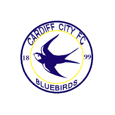 After lengthy talks with senior players and fans, he decided the best policy was not to change the name of the club. Cardiff City Fc Crest