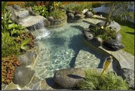 Natural Pool Designs Pools Ideas Inspirations Photos