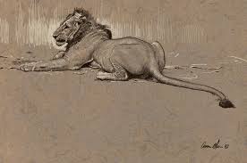 Aaron Blaise Timeline Photos Big Cats Art Animal Drawings Animal Paintings