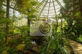 Pixelgarten is a studio for visual communication based in frankfurt am main germany. Botanischer Garten Frankfurt Botanischer Garten Fototapete Fototapeten Eden Gedeihen Botanischer Garten Myloview De