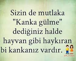 Huzunlu Bir Poncik Panosundaki Pin