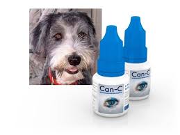 Can C Eye Drops For Dogs In 2020 Cataracts In Dogs Eye Drops For Dogs Dog Allergies