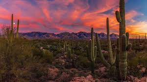 Maybe you would like to learn more about one of these? Arizona Desert Sunset Wallpapers Top Free Arizona Desert Sunset Backgrounds Wallpaperaccess