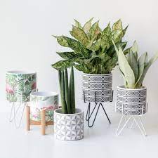 Hot New Products Straw Plaited Article Handmade Ceramic Indoor Flower Pot For Home Decor Buy Ceramic Plant Pot Indoor Flower Pots Indoor Flowers Flower Pots