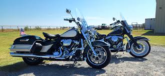 Image result for Vivid Black 1994 FXSTS