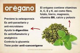 Un té de orégano y fuera la tos • Infomed Holguín
