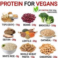 Plant Based Life Vegetarian Protein Sources Vegan Protein Sources Vegan Recipes Plant Based