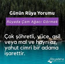 Ruyada Cam Agaci Gormek Ne Anlama Geliyor Ruya Yorum Ruya Yorumu