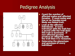 Each of the four hallmarks of autosomal dominant inheritance are fulfilled. Human Pedigree Analysis Problem Sheet