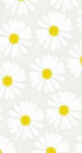 59 Trendy Wall Paper Yellow Iphone Phone Wallpapers Flower Background Iphone Iphone Wallpaper Yellow Daisy Wallpaper