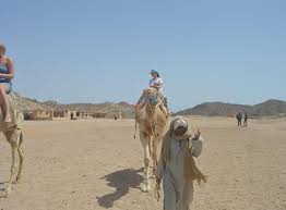 Take in the vip camp experience with all the conventional arabian activities and a delectable bbq dinner. Hurghada Tour Jeep Safari Quad Biking Bedouin Dinner Star Gazing Camel Ride 2021 Happytovisit Com