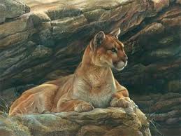 Art Of Joni Johnson Godsy Big Cats Art Animals Artwork Wild Cats