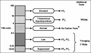 tsh tsh interpretation