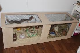 Farbmause Oder Hamster Gehege Meerschweinchen Gehege Hamster Gehege Meerschweinchen