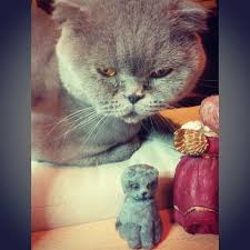 My Big Worker With Her Miniature Polymer Clay Scottish Fold