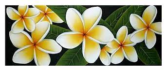 Plumeria Art And Frangipani Art Flower Paintings Flower Painting Tropical Art Print Flower Art