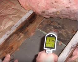 Pre screened specialists · free job quote · affordable pricing Va Beach Mold Removal Hero Mold Removal