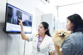 Check spelling or type a new query. Service Groovy Vetcare Clinic