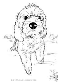 Check out our mini goldendoodle selection for the very best in unique or custom, handmade pieces from our mugs shops. Pin On Coloring Pages