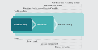 Image result for Hunger Vital Sign Screen