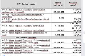 Peste 600 de euro/hectar/an se adauga la subventia pe suprafata. Apia Subventii 2019 Agrostandard