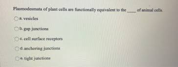 Check spelling or type a new query. Plasmodesmata Of Plant Cells Are Functionally Chegg Com
