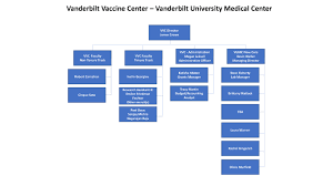 Vvc Organizational Chart Vanderbilt Vaccine Center